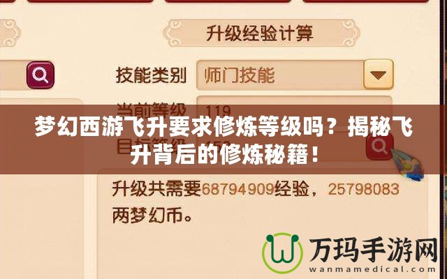 夢幻西游飛升要求修煉等級嗎？揭秘飛升背后的修煉秘籍！