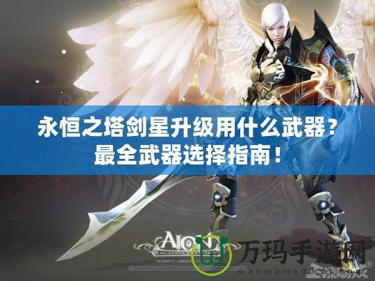 永恒之塔劍星升級(jí)用什么武器？最全武器選擇指南！