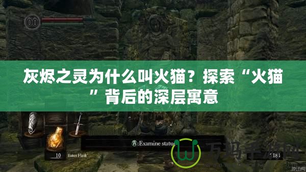 灰燼之靈為什么叫火貓？探索“火貓”背后的深層寓意
