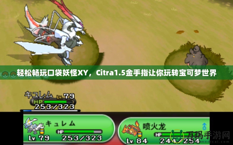 輕松暢玩口袋妖怪XY，Citra1.5金手指讓你玩轉(zhuǎn)寶可夢(mèng)世界