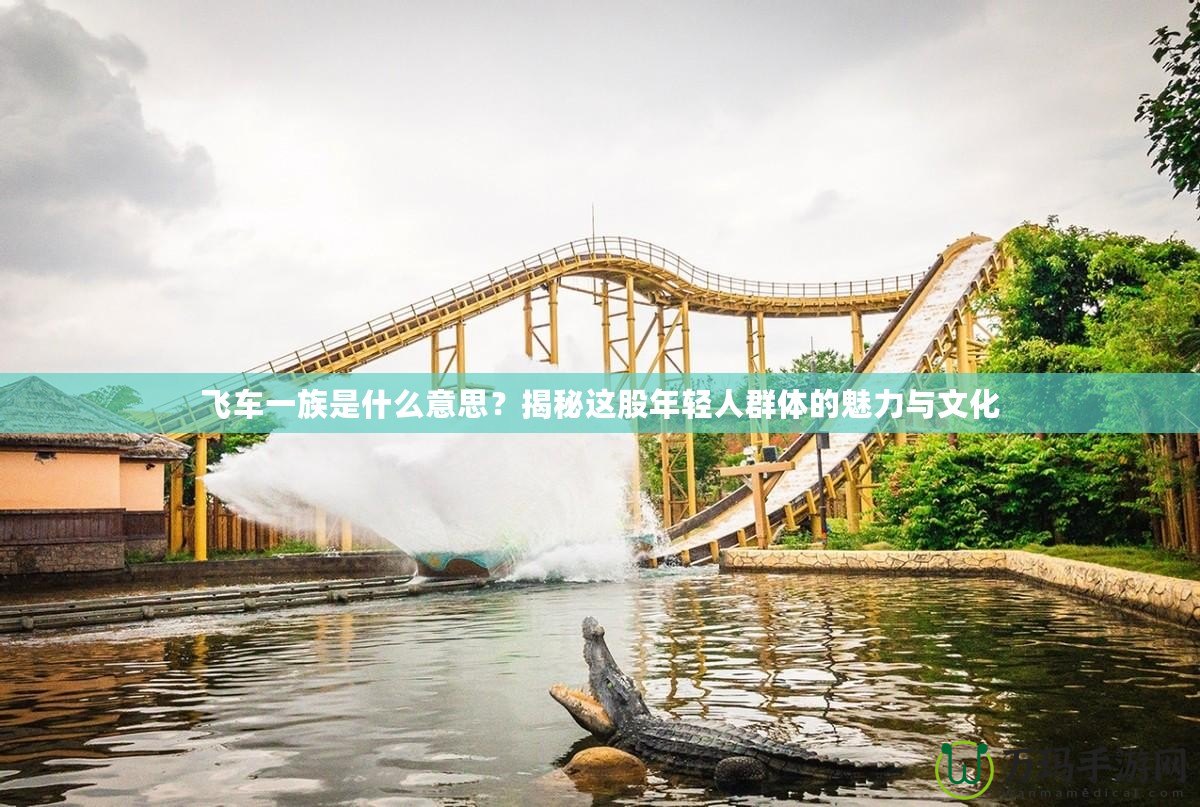 飛車一族是什么意思？揭秘這股年輕人群體的魅力與文化