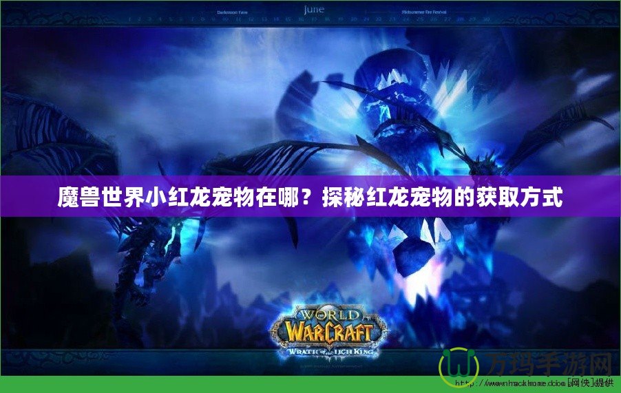 魔獸世界小紅龍寵物在哪？探秘紅龍寵物的獲取方式