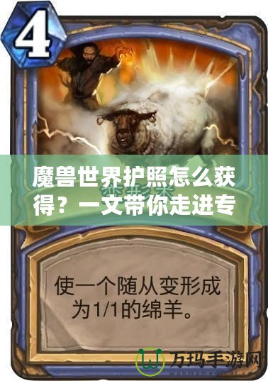 魔獸世界護照怎么獲得？一文帶你走進專屬玩家的特權(quán)世界！