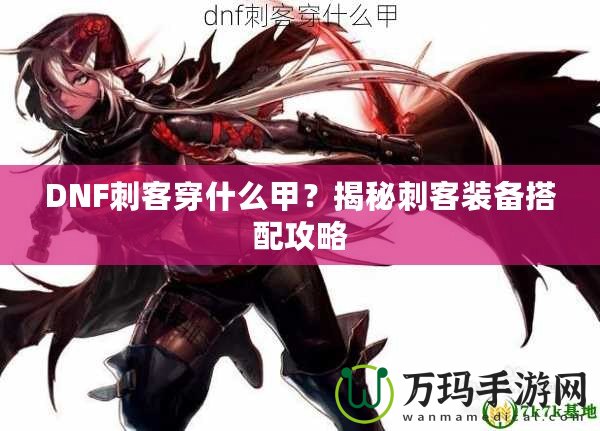 DNF刺客穿什么甲？揭秘刺客裝備搭配攻略