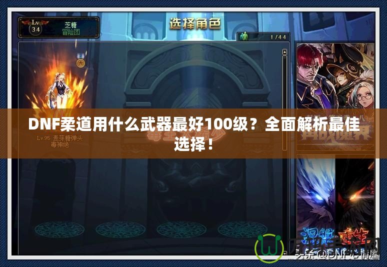 DNF柔道用什么武器最好100級(jí)？全面解析最佳選擇！