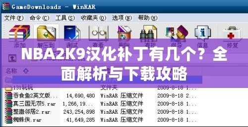 NBA2K9漢化補(bǔ)丁有幾個(gè)？全面解析與下載攻略
