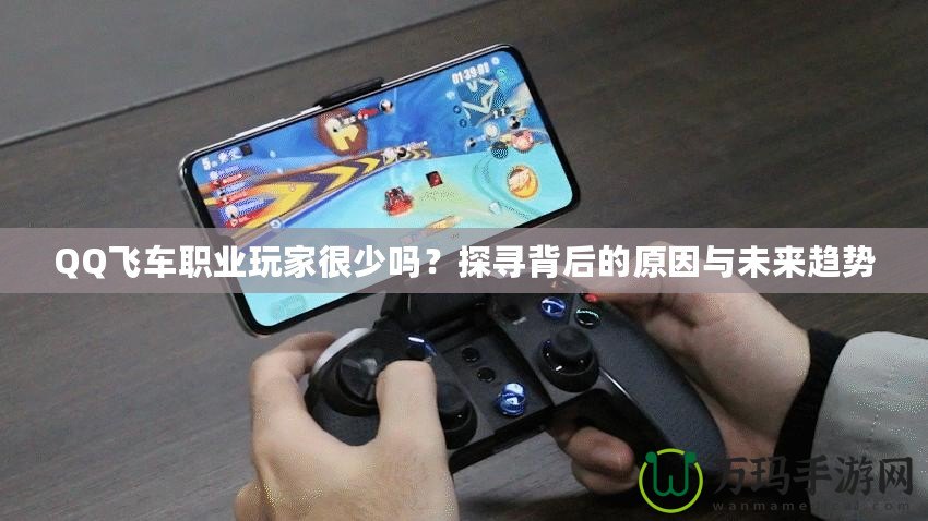 QQ飛車職業(yè)玩家很少嗎？探尋背后的原因與未來趨勢