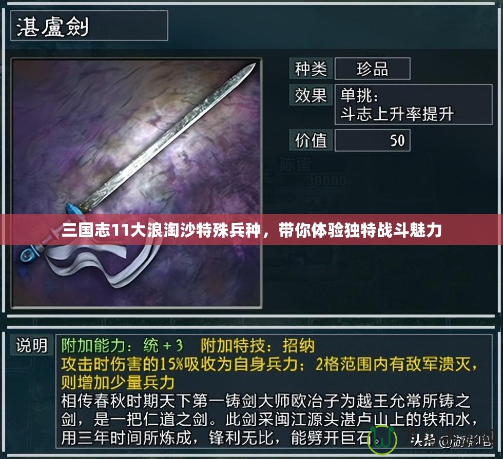 三國(guó)志11大浪淘沙特殊兵種，帶你體驗(yàn)獨(dú)特戰(zhàn)斗魅力