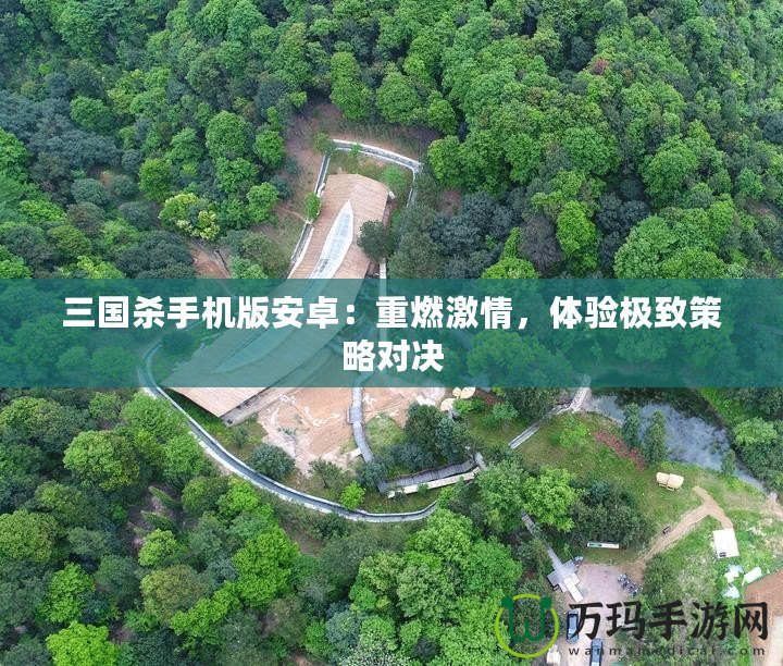 三國殺手機(jī)版安卓：重燃激情，體驗(yàn)極致策略對決