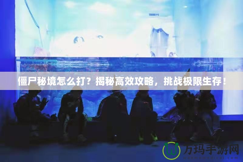僵尸秘境怎么打？揭秘高效攻略，挑戰(zhàn)極限生存！