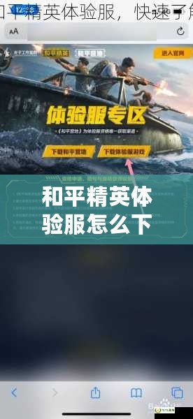 和平精英體驗服怎么下載視頻教程，輕松獲取最新游戲體驗！