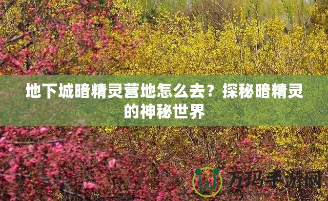 地下城暗精靈營(yíng)地怎么去？探秘暗精靈的神秘世界