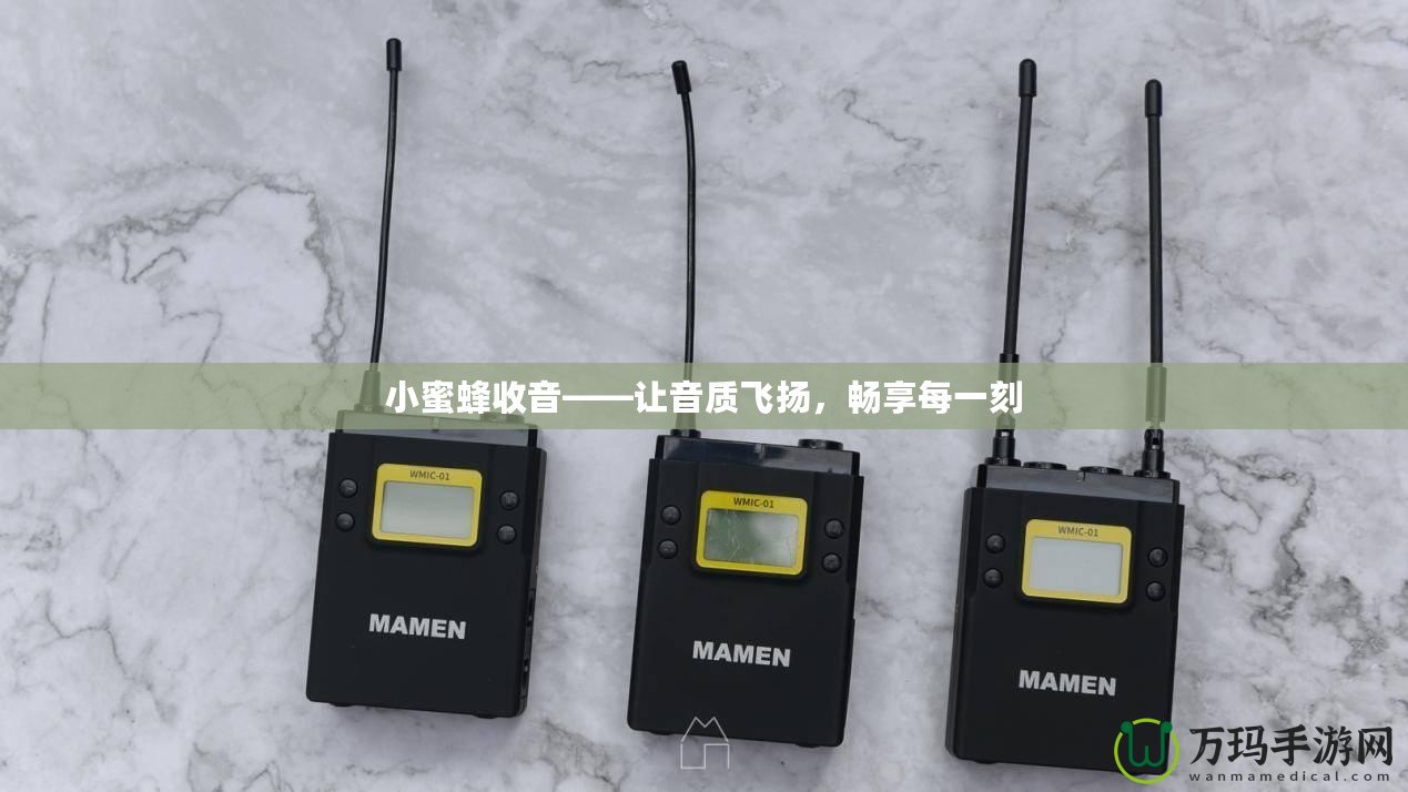 小蜜蜂收音——讓音質(zhì)飛揚(yáng)，暢享每一刻