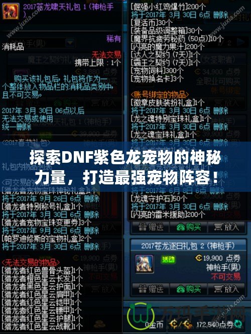 探索DNF紫色龍寵物的神秘力量，打造最強(qiáng)寵物陣容！
