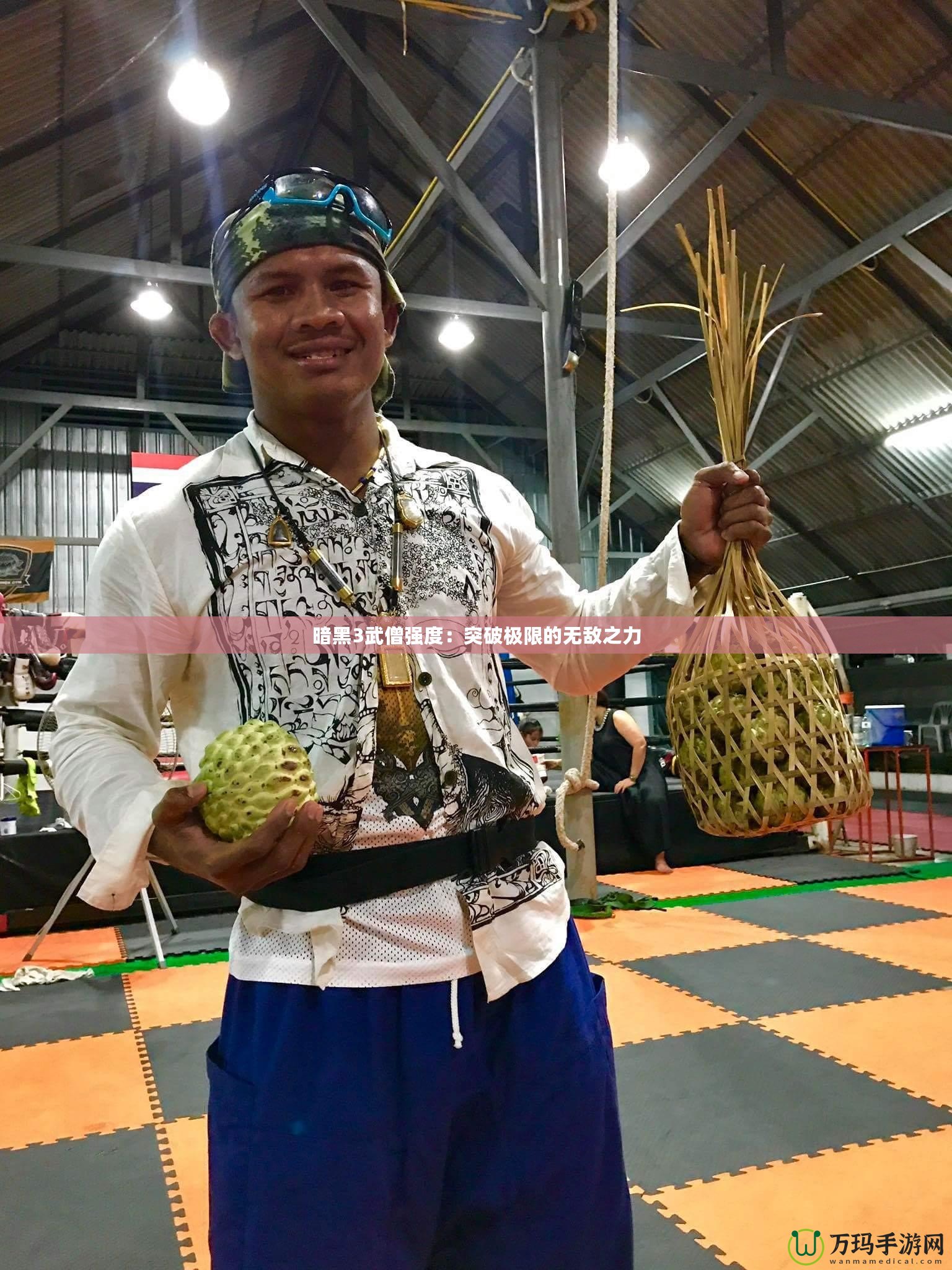 暗黑3武僧強(qiáng)度：突破極限的無敵之力