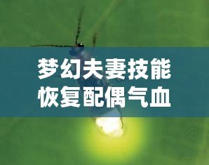 夢幻夫妻技能恢復(fù)配偶?xì)庋蛡麆?，攜手共度每個難關(guān)！