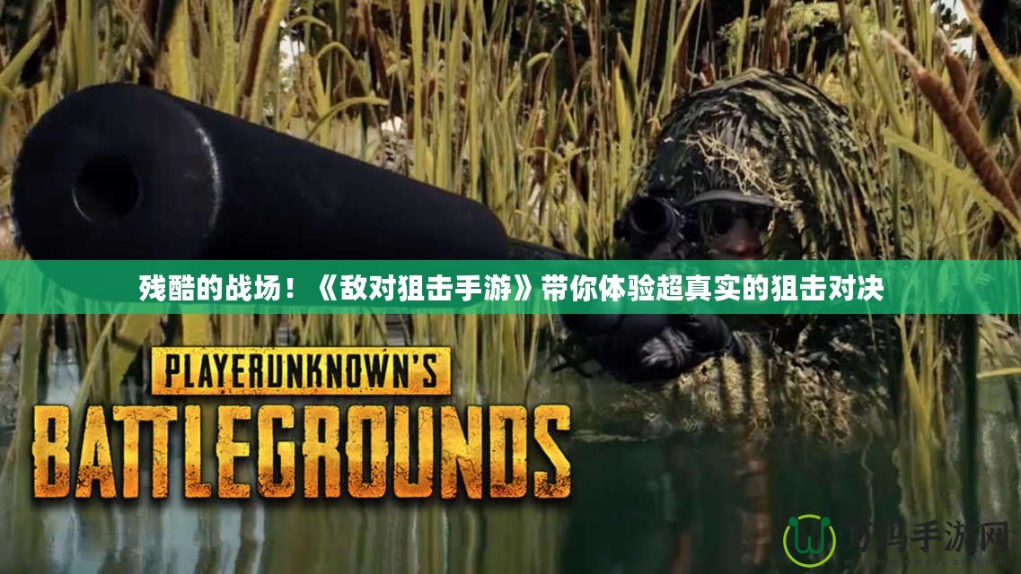 殘酷的戰(zhàn)場！《敵對狙擊手游》帶你體驗超真實的狙擊對決
