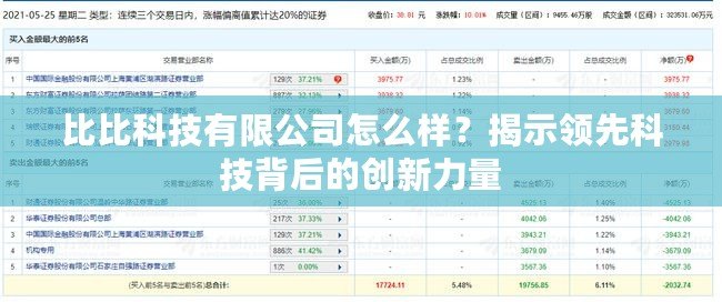 比比科技有限公司怎么樣？揭示領(lǐng)先科技背后的創(chuàng)新力量