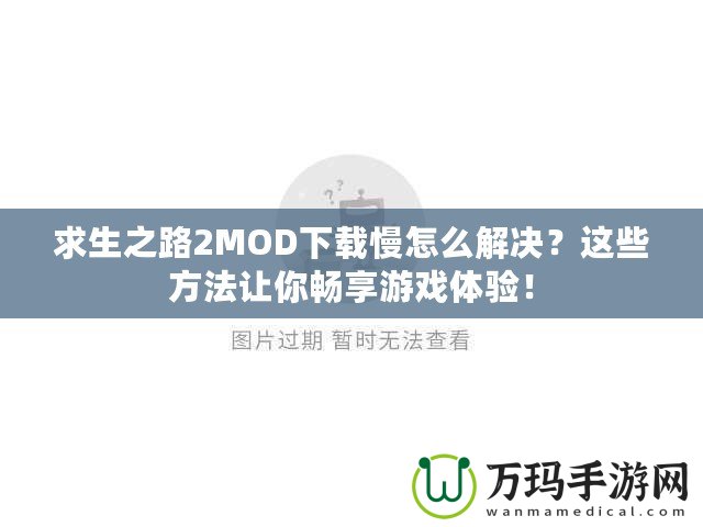 求生之路2MOD下載慢怎么解決？這些方法讓你暢享游戲體驗(yàn)！