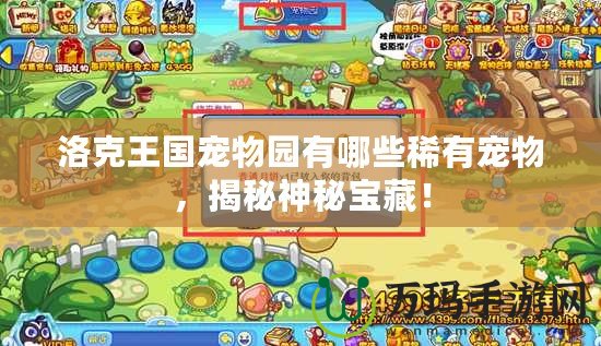 洛克王國(guó)寵物園有哪些稀有寵物，揭秘神秘寶藏！