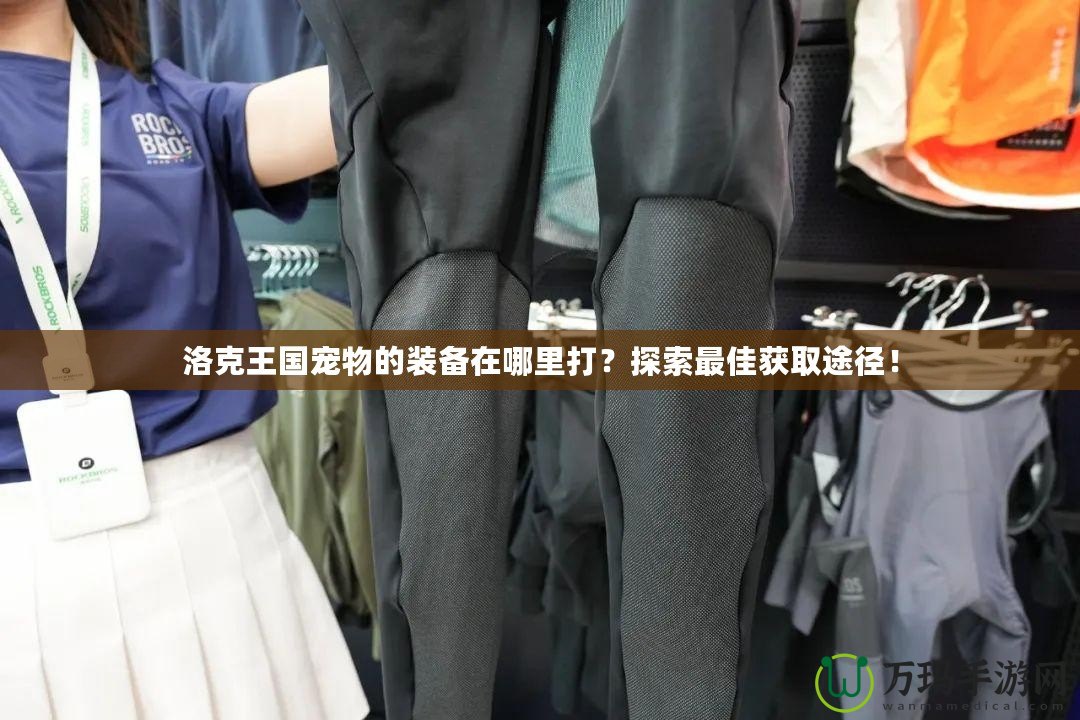 洛克王國寵物的裝備在哪里打？探索最佳獲取途徑！