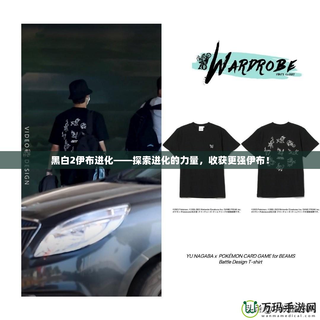 黑白2伊布進(jìn)化——探索進(jìn)化的力量，收獲更強(qiáng)伊布！