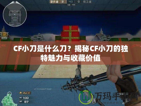 CF小刀是什么刀？揭秘CF小刀的獨特魅力與收藏價值