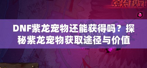 DNF紫龍寵物還能獲得嗎？探秘紫龍寵物獲取途徑與價值