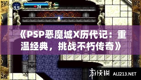 《PSP惡魔城X歷代記：重溫經(jīng)典，挑戰(zhàn)不朽傳奇》