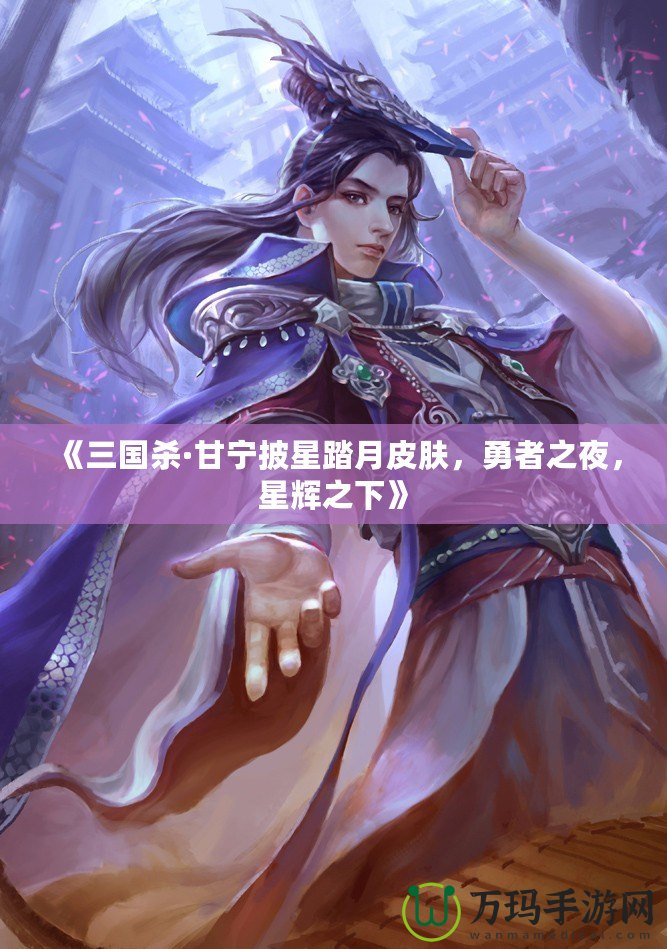 《三國(guó)殺·甘寧披星踏月皮膚，勇者之夜，星輝之下》