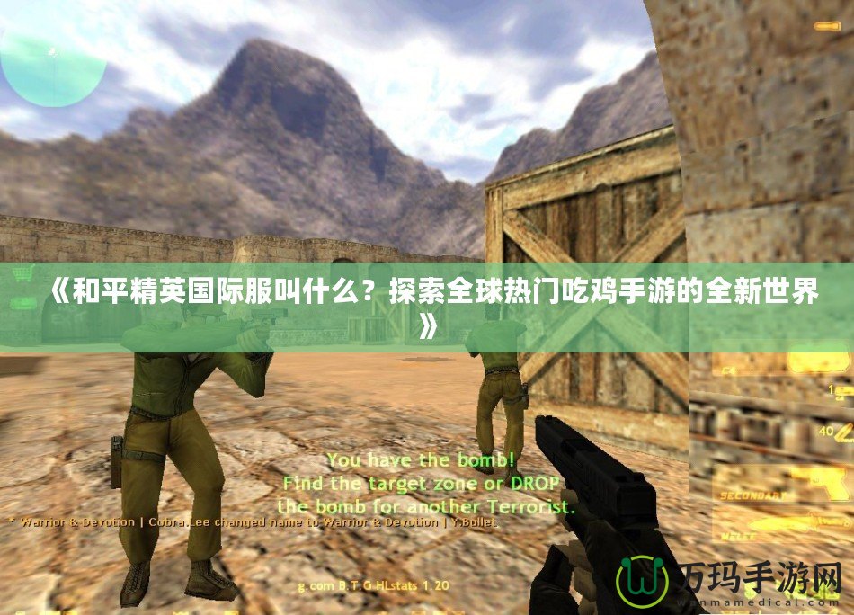 《和平精英國際服叫什么？探索全球熱門吃雞手游的全新世界》