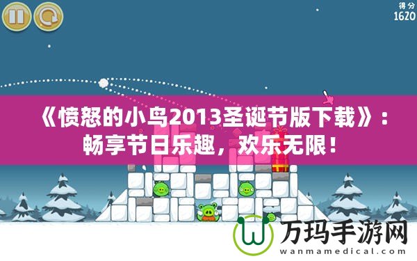 《憤怒的小鳥2013圣誕節(jié)版下載》：暢享節(jié)日樂趣，歡樂無限！
