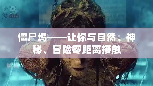 僵尸塢——讓你與自然、神秘、冒險(xiǎn)零距離接觸