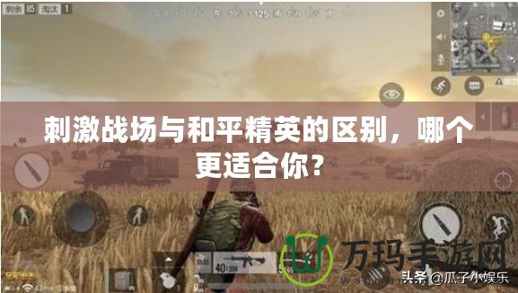 刺激戰(zhàn)場與和平精英的區(qū)別，哪個更適合你？