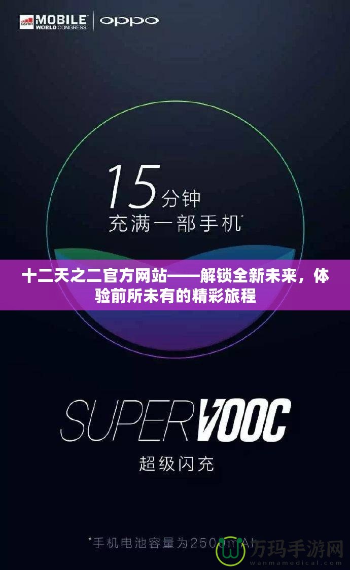 十二天之二官方網(wǎng)站——解鎖全新未來，體驗前所未有的精彩旅程