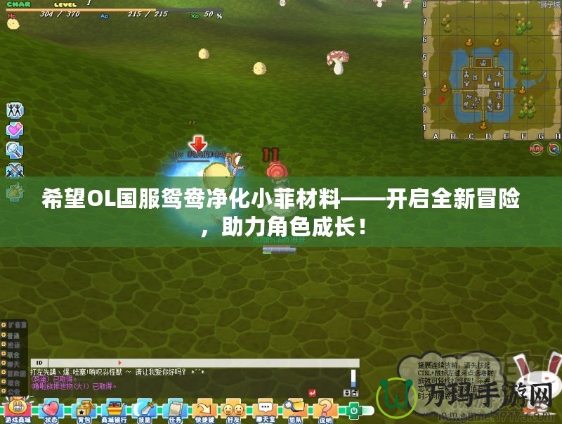 希望OL國(guó)服鴛鴦凈化小菲材料——開啟全新冒險(xiǎn)，助力角色成長(zhǎng)！