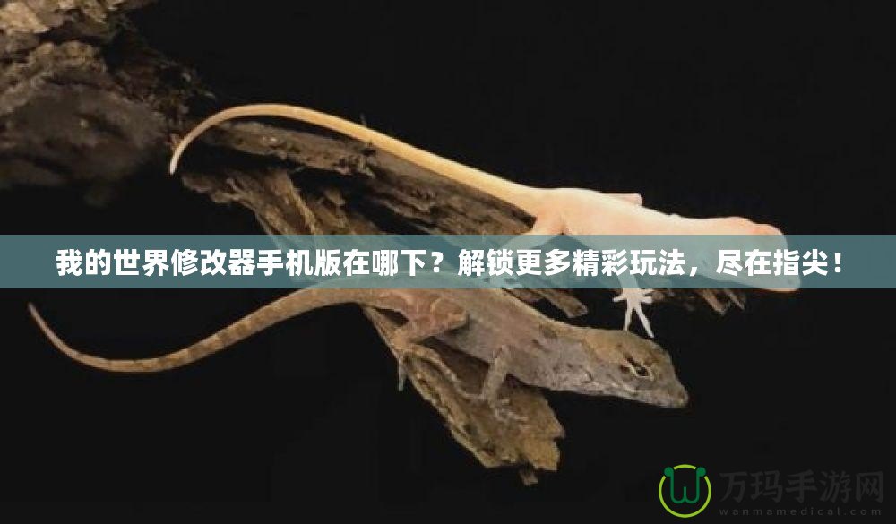 我的世界修改器手機版在哪下？解鎖更多精彩玩法，盡在指尖！