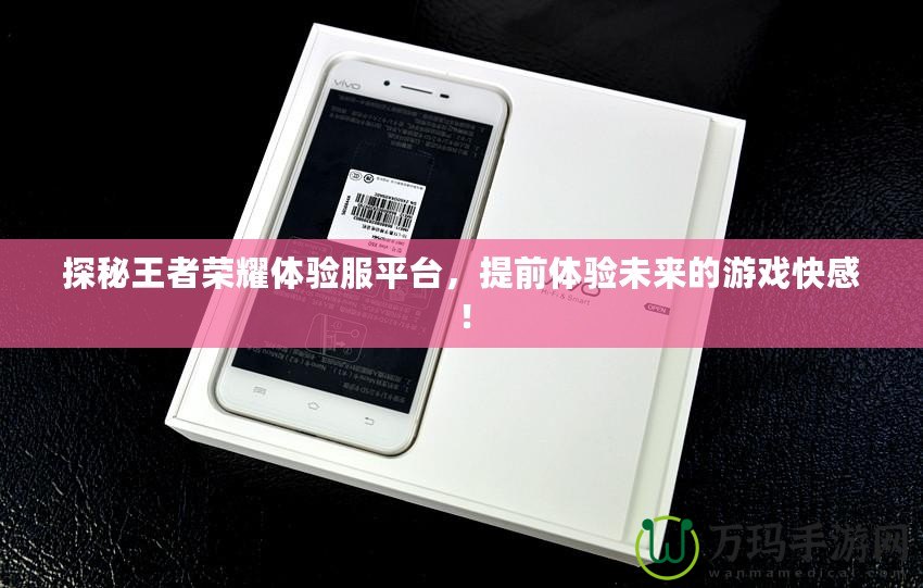 探秘王者榮耀體驗(yàn)服平臺，提前體驗(yàn)未來的游戲快感！