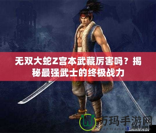 無雙大蛇Z宮本武藏厲害嗎？揭秘最強武士的終極戰(zhàn)力