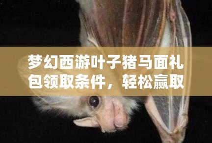夢幻西游葉子豬馬面禮包領(lǐng)取條件，輕松贏取豐厚獎勵！