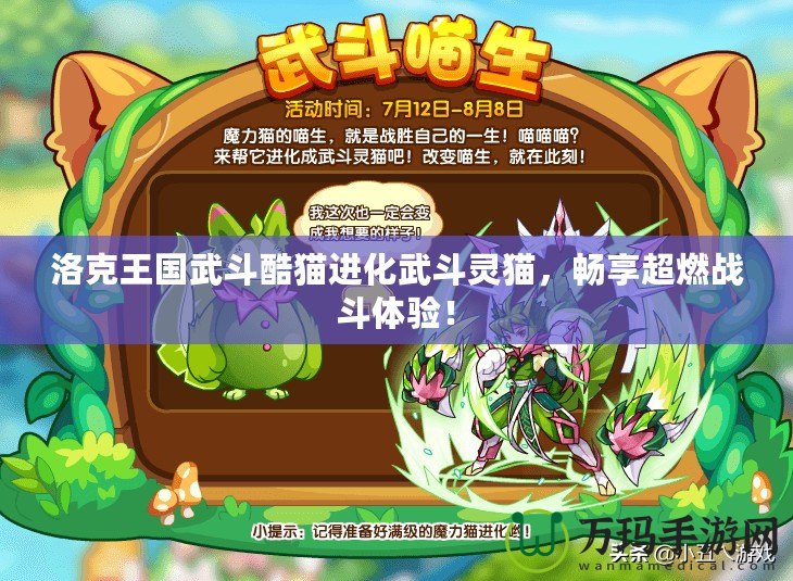 洛克王國(guó)武斗酷貓進(jìn)化武斗靈貓，暢享超燃戰(zhàn)斗體驗(yàn)！