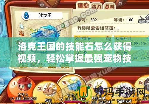 洛克王國(guó)的技能石怎么獲得視頻，輕松掌握最強(qiáng)寵物技能！