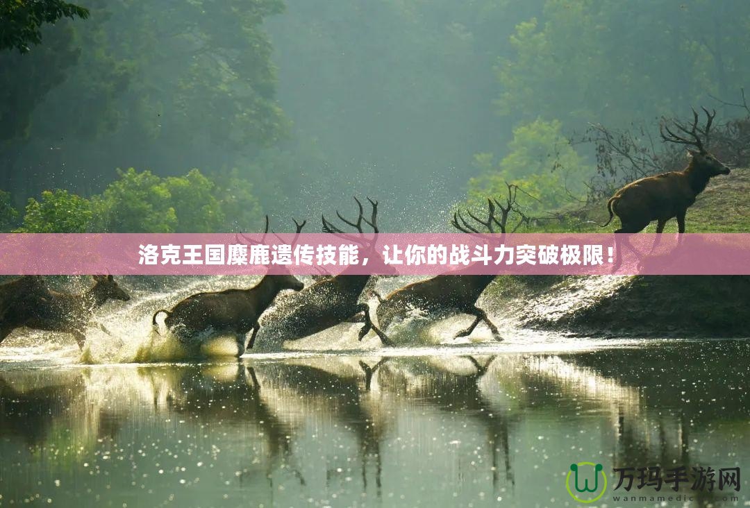 洛克王國(guó)麋鹿遺傳技能，讓你的戰(zhàn)斗力突破極限！