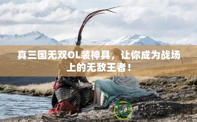真三國(guó)無(wú)雙OL裝神具，讓你成為戰(zhàn)場(chǎng)上的無(wú)敵王者！