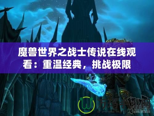 魔獸世界之戰(zhàn)士傳說(shuō)在線觀看：重溫經(jīng)典，挑戰(zhàn)極限
