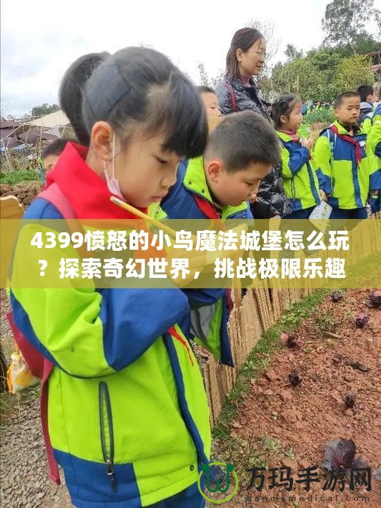 4399憤怒的小鳥魔法城堡怎么玩？探索奇幻世界，挑戰(zhàn)極限樂趣！