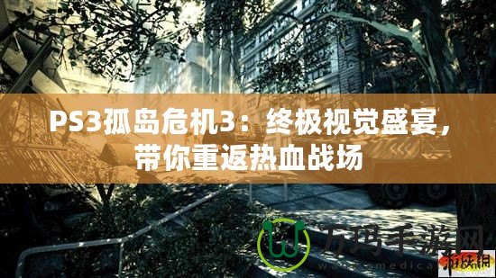 PS3孤島危機3：終極視覺盛宴，帶你重返熱血戰(zhàn)場