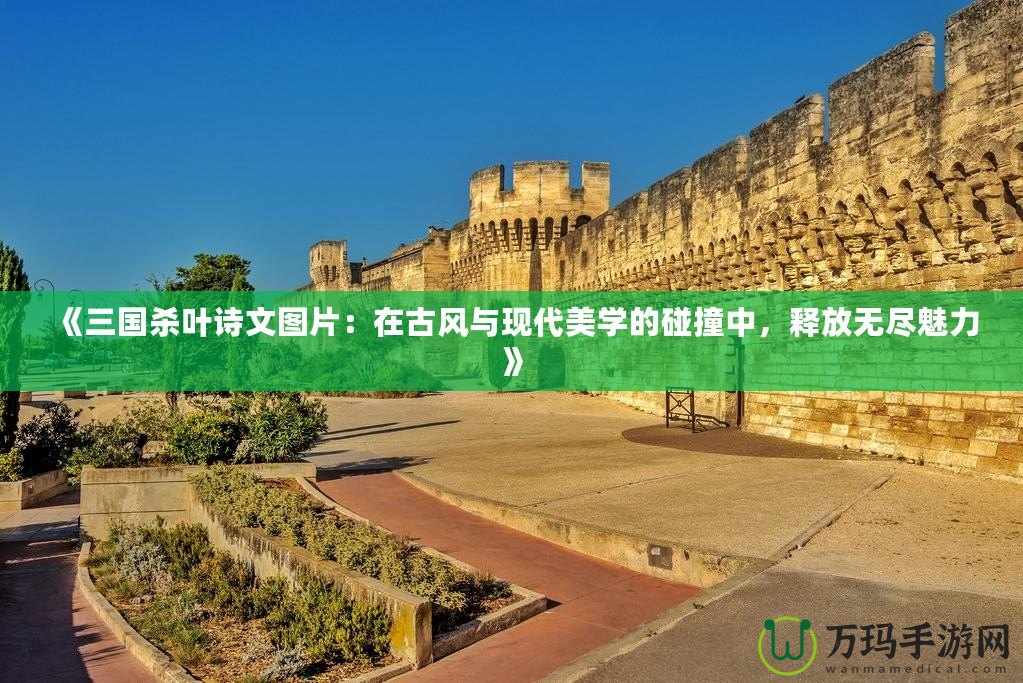 《三國殺葉詩文圖片：在古風(fēng)與現(xiàn)代美學(xué)的碰撞中，釋放無盡魅力》