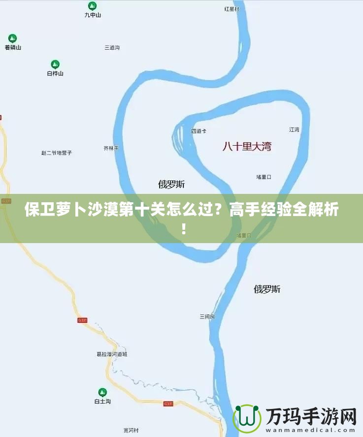 保衛(wèi)蘿卜沙漠第十關(guān)怎么過(guò)？高手經(jīng)驗(yàn)全解析！