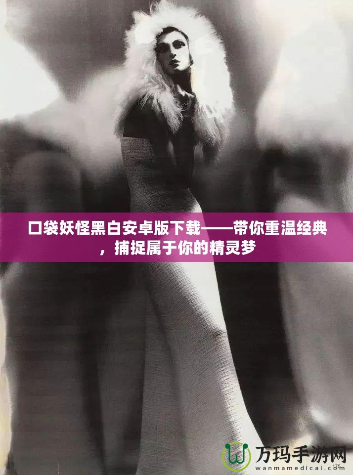 口袋妖怪黑白安卓版下載——帶你重溫經(jīng)典，捕捉屬于你的精靈夢(mèng)